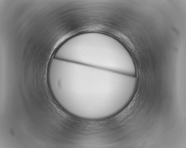 X0000115651226200912011515