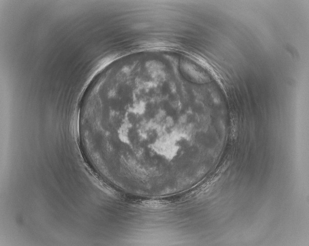 X0000115651227200912011515