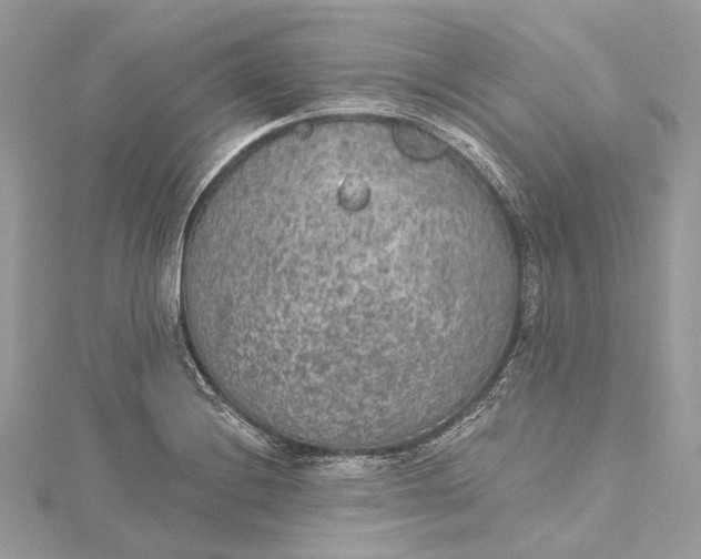 X0000115651228200912011515