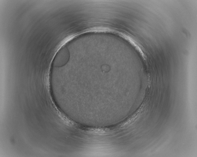 X0000115651229200912011515