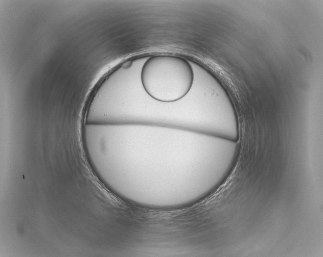 X0000115651230200912011515