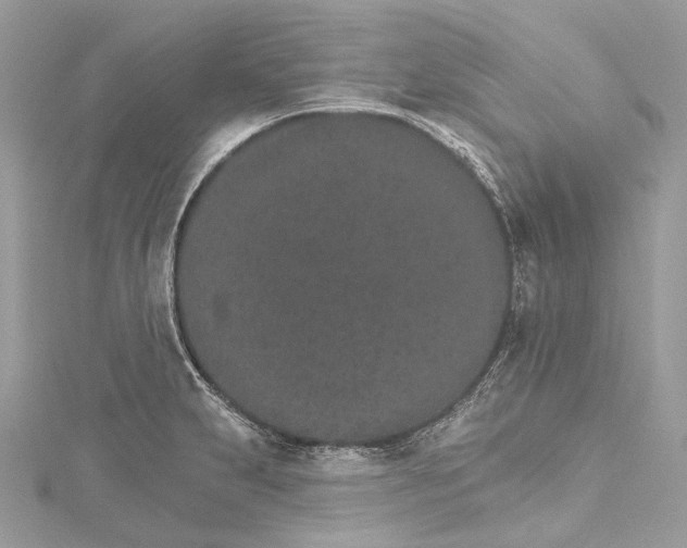 X0000115651231200912011515