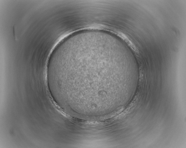 X0000115651232200912011515