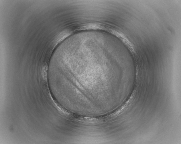 X0000115651233200912011515