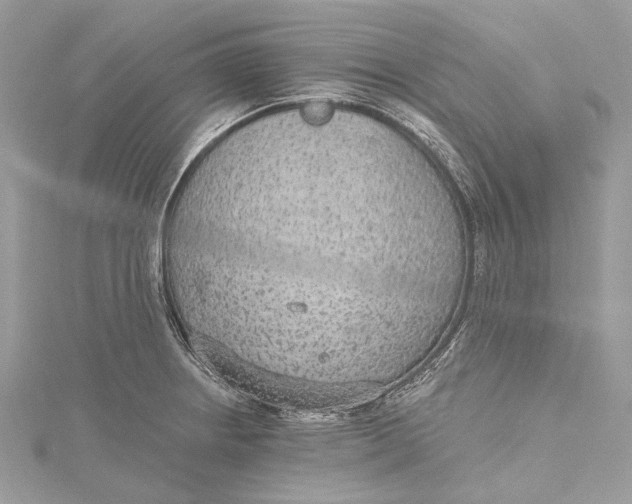 X0000115651234200912011515