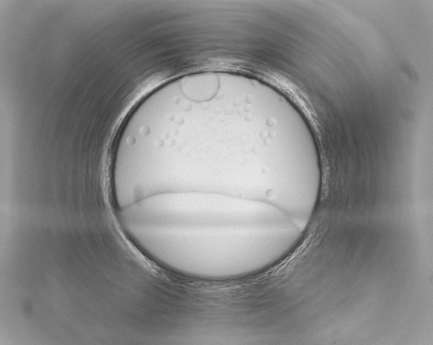 X0000115651235200912011515