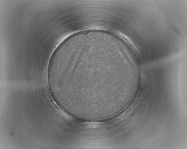 X0000115651236200912011515