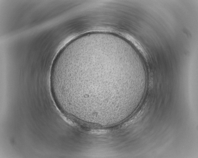 X0000115651237200912011515