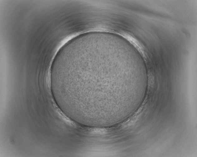 X0000115651238200912011515