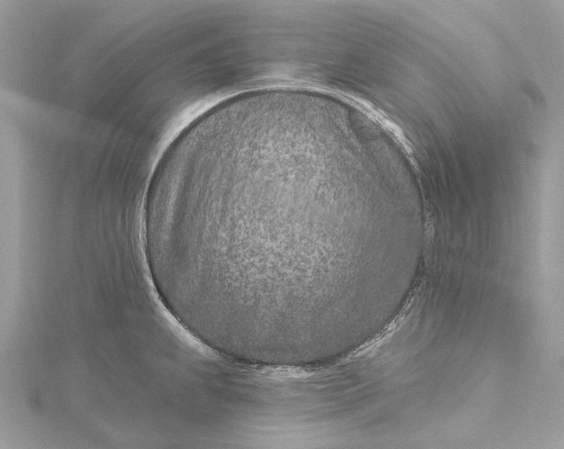 X0000115651239200912011515