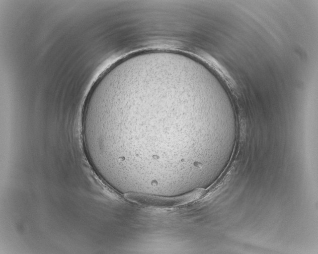 X0000115651240200912011515