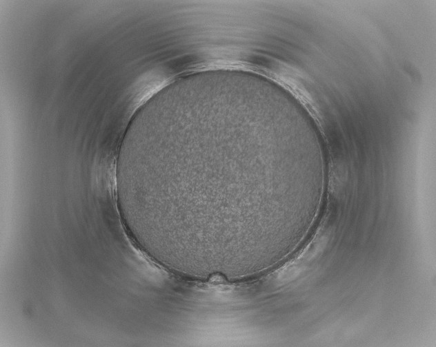 X0000115651241200912011515