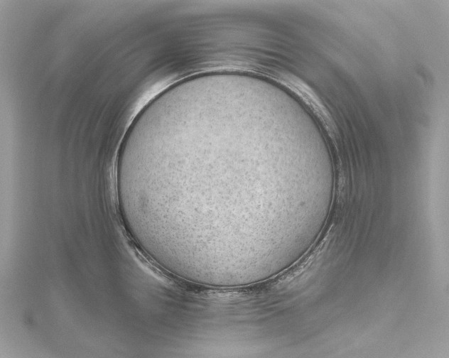 X0000115651242200912011515