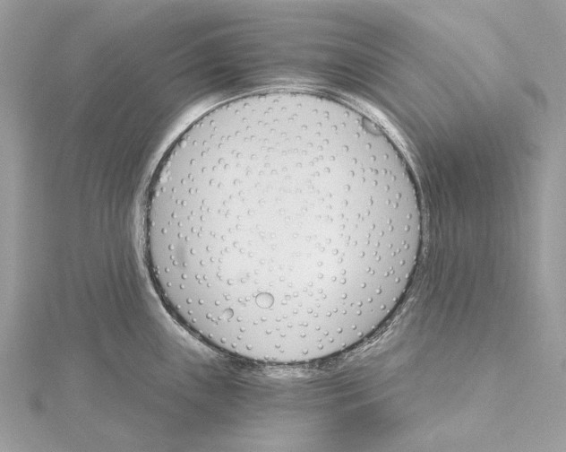 X0000115651243200912011515