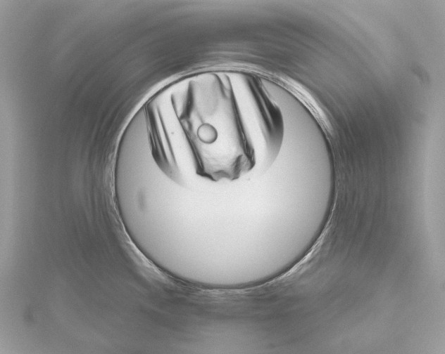 X0000115651244200912011515