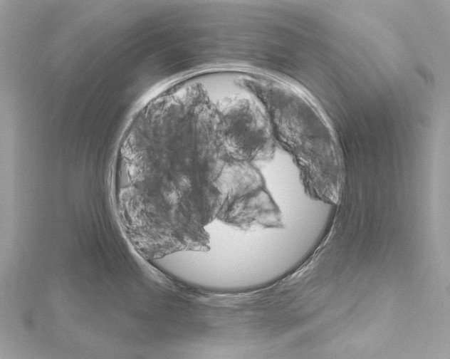 X0000115651245200912011516