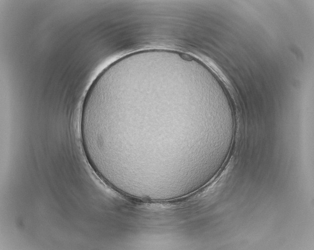 X0000115651246200912011516