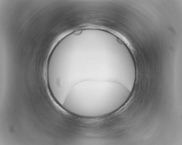 X0000115651247200912011516