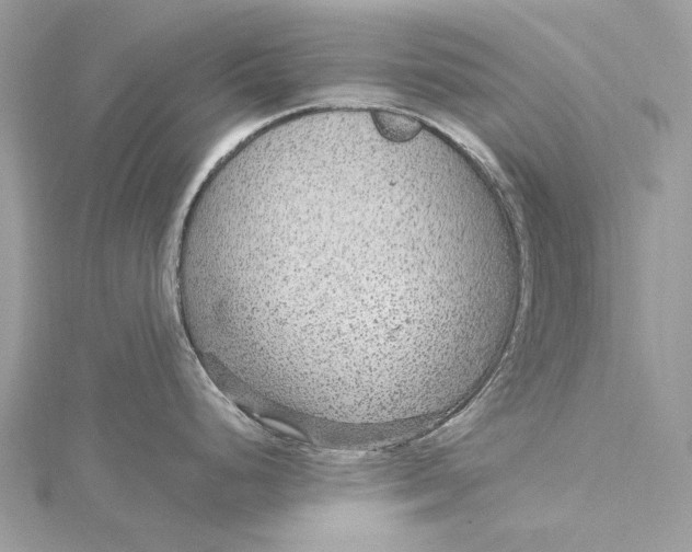 X0000115651248200912011516