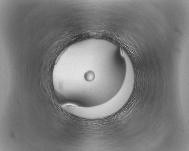 X0000115651249200912011515