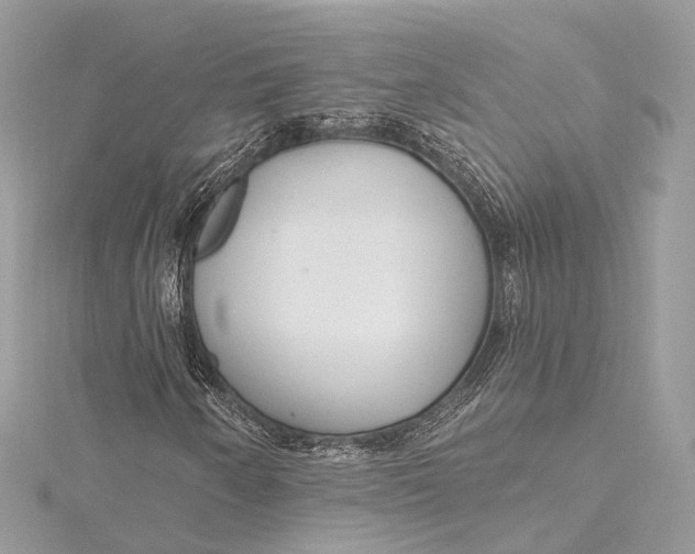 X0000115651250200912011515