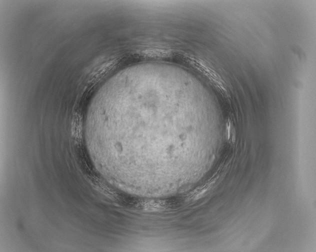 X0000115651251200912011515