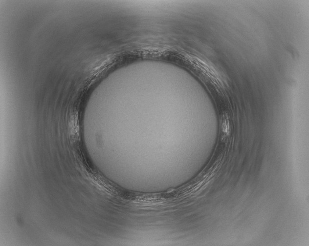 X0000115651252200912011515