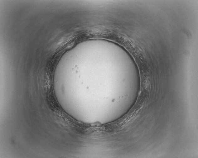 X0000115651253200912011515