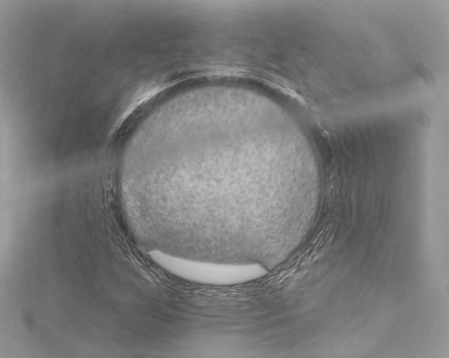 X0000115651255200912011515