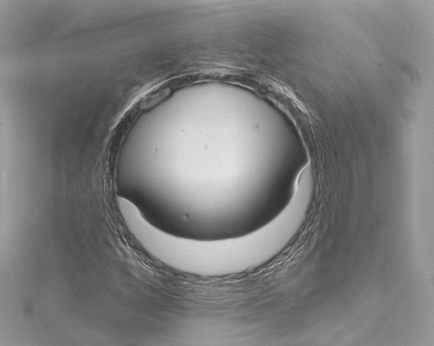 X0000115651256200912011515