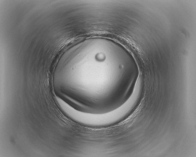 X0000115651257200912011515