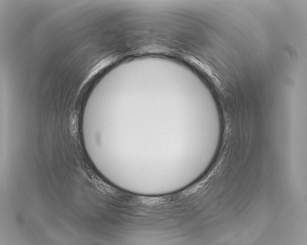 X0000115651258200912011515