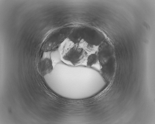 X0000115651259200912011515