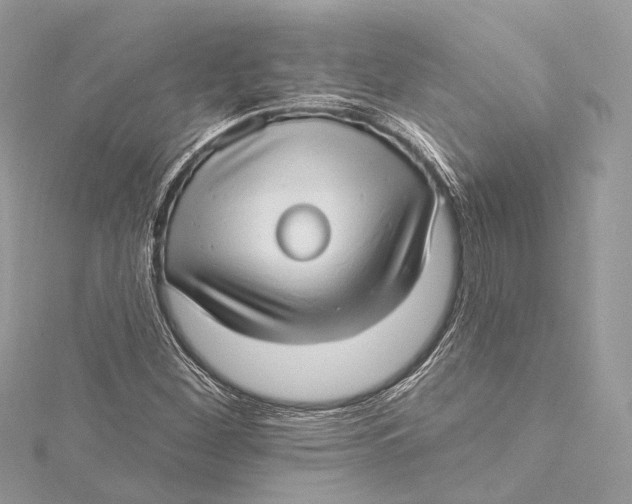 X0000115651260200912011515