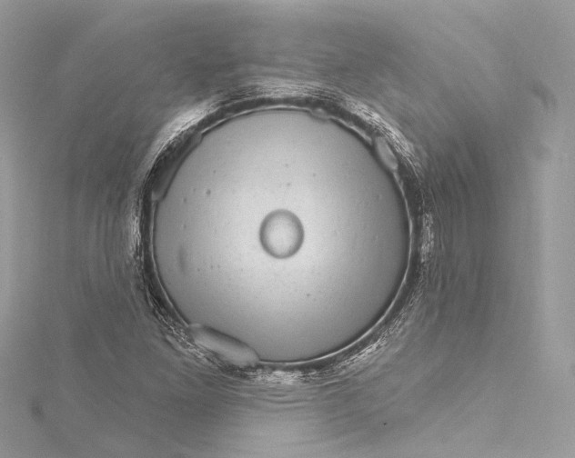 X0000115651261200912011515