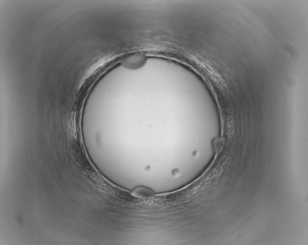 X0000115651262200912011515