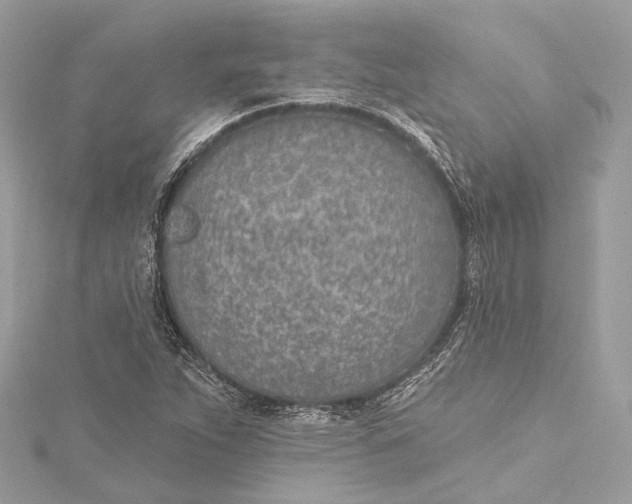 X0000115651263200912011515