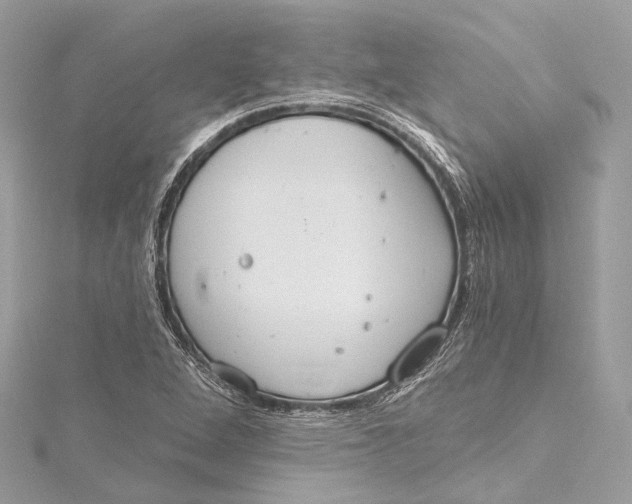 X0000115651264200912011515