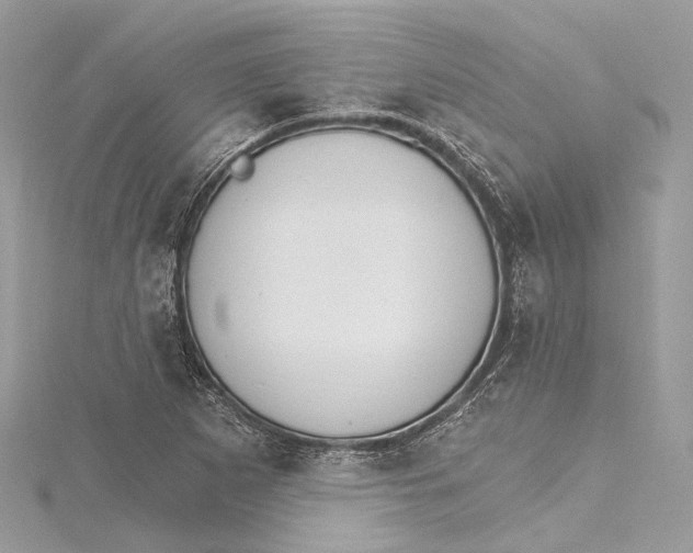 X0000115651265200912011515