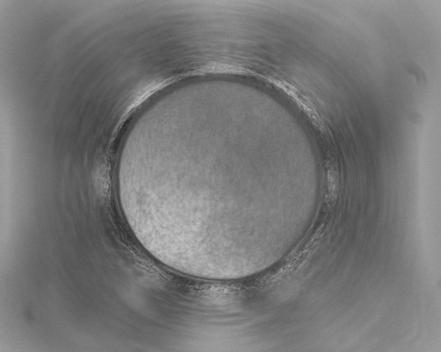 X0000115651266200912011515