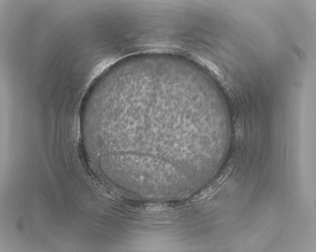 X0000115651267200912011515