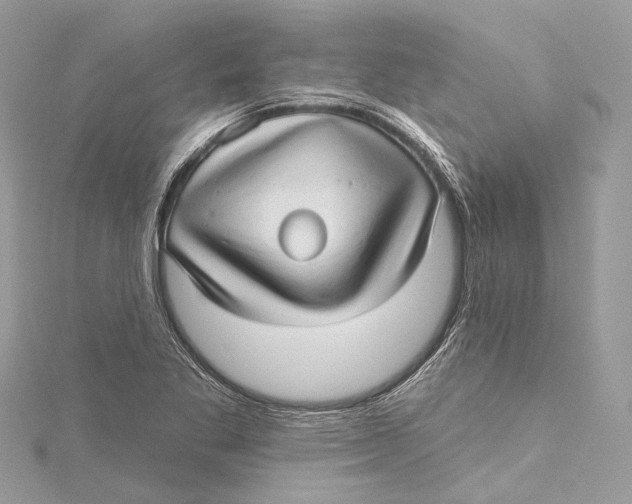 X0000115651269200912011515