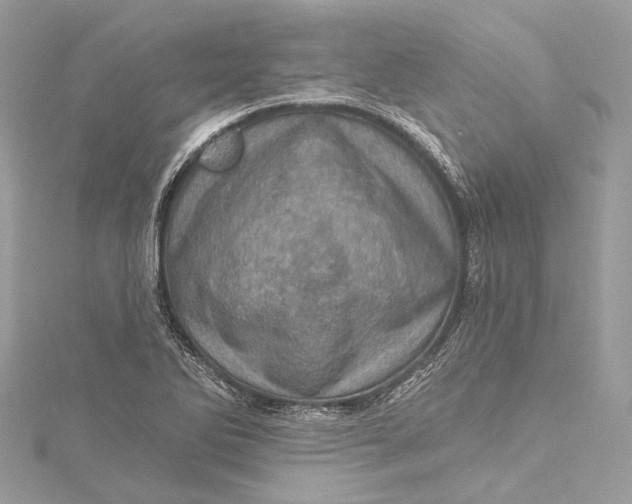 X0000115651270200912011515