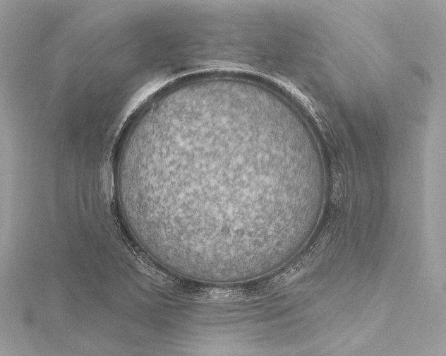 X0000115651271200912011515