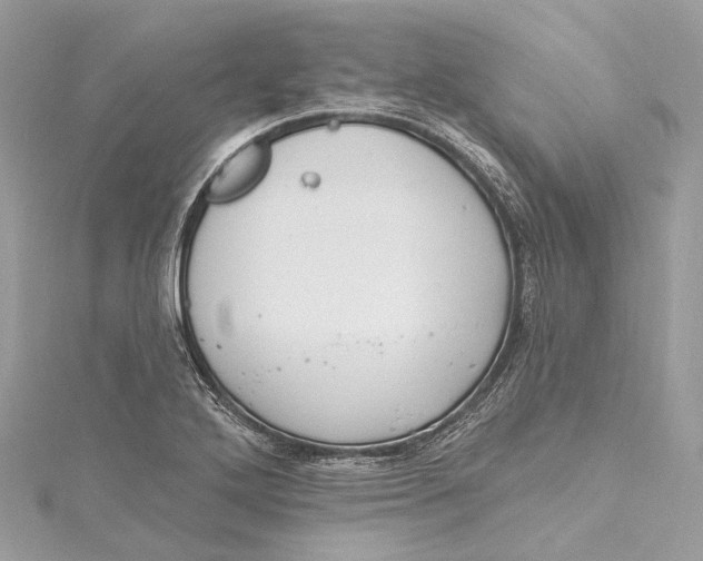 X0000115651272200912011515