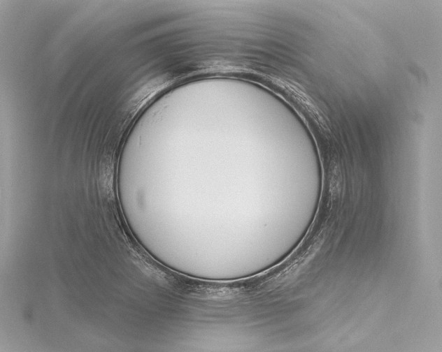 X0000115651273200912011515