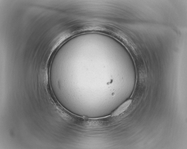 X0000115651274200912011515