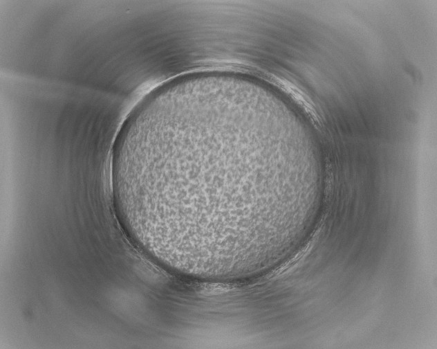 X0000115651275200912011515