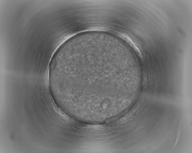 X0000115651276200912011515