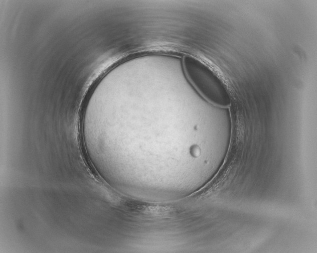 X0000115651277200912011515